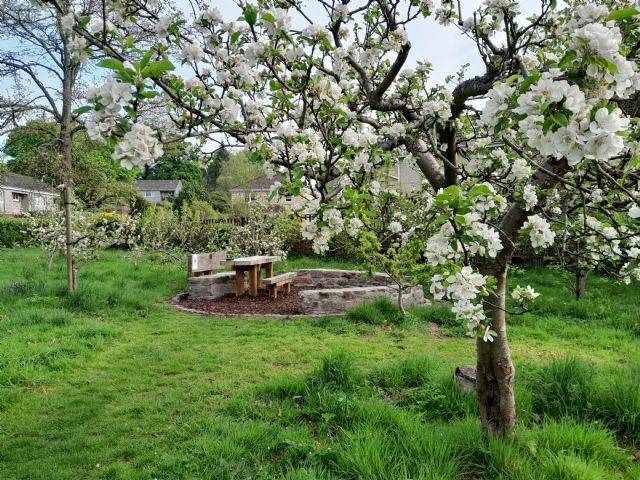 Blossom and new seating