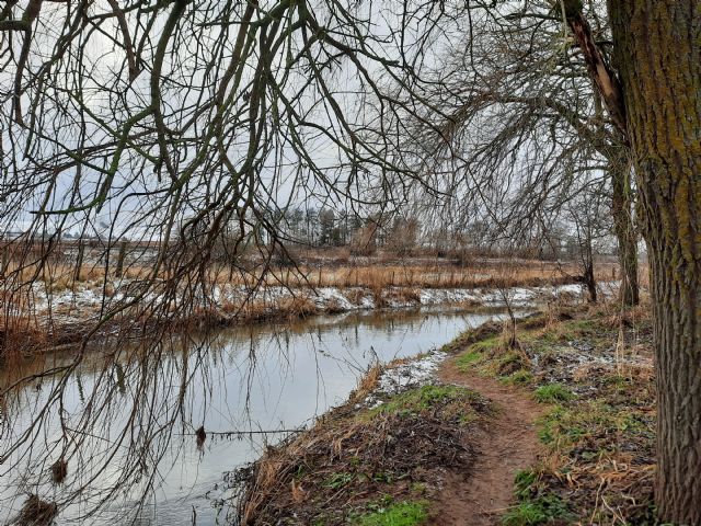 river eden